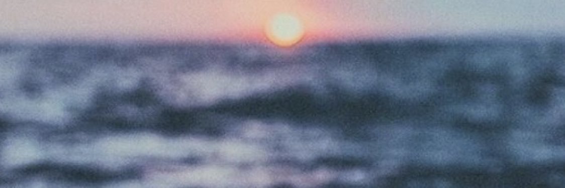 rominaraee's profile banner image