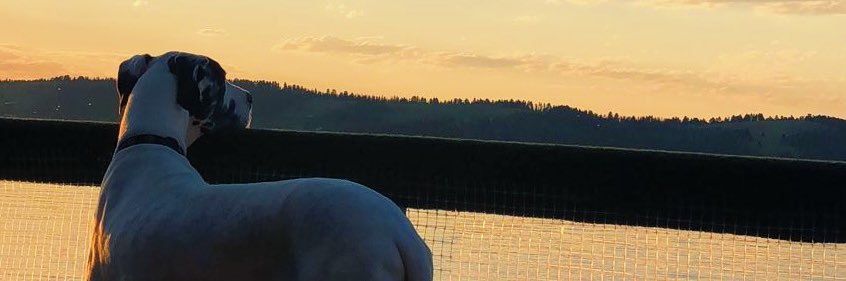 Josce_11's profile banner image