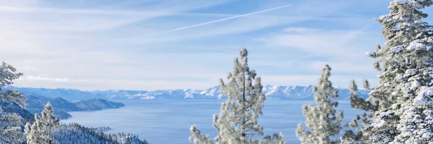 BullBearCarson's profile banner image