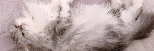 piyorime Profile Banner