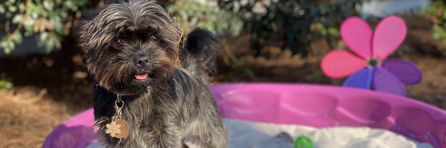 LoganEllaina's profile banner image