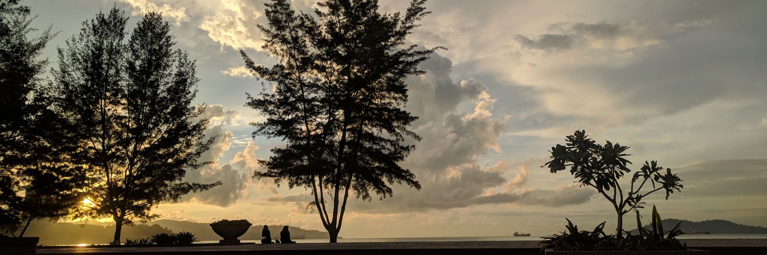 calvinchoong_'s profile banner image