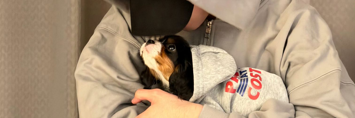 ซิสยุค90🐰 banner