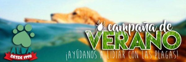 GRUPOAEDA Profile Banner