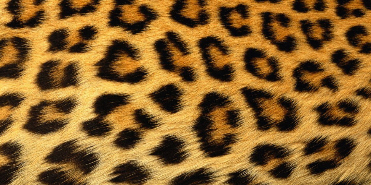 sarahos8's profile banner image