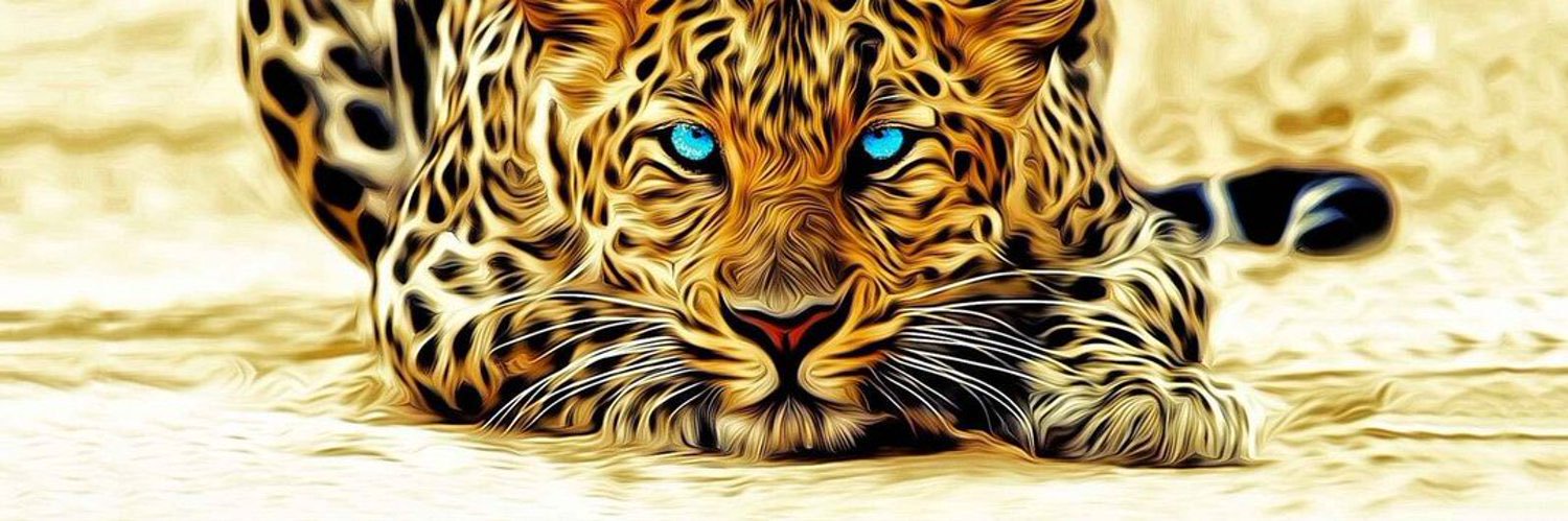 ثراء 🐆 banner