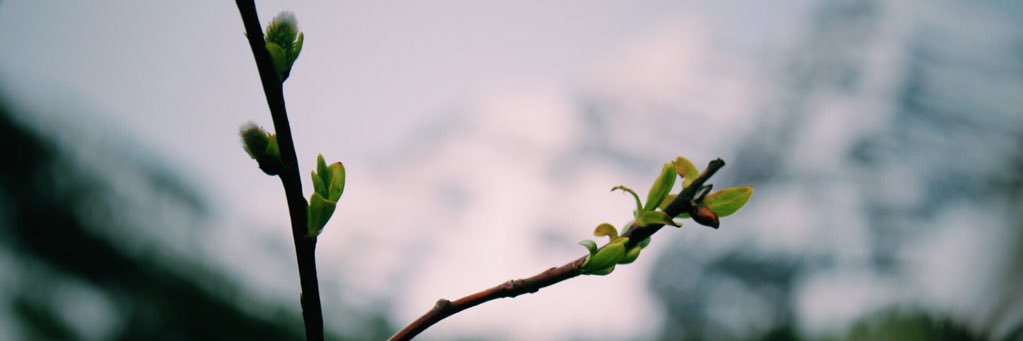 TymacdD123's profile banner image