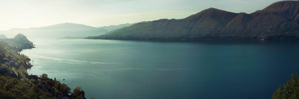 telo Profile Banner