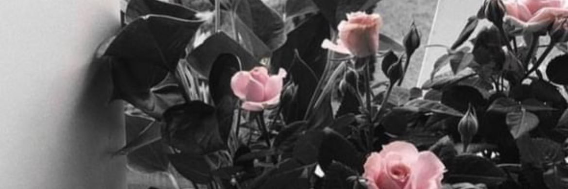 小原ゆゆ | KIBOW社会投資ファンド🌈 | G-STARTUP🦄 banner