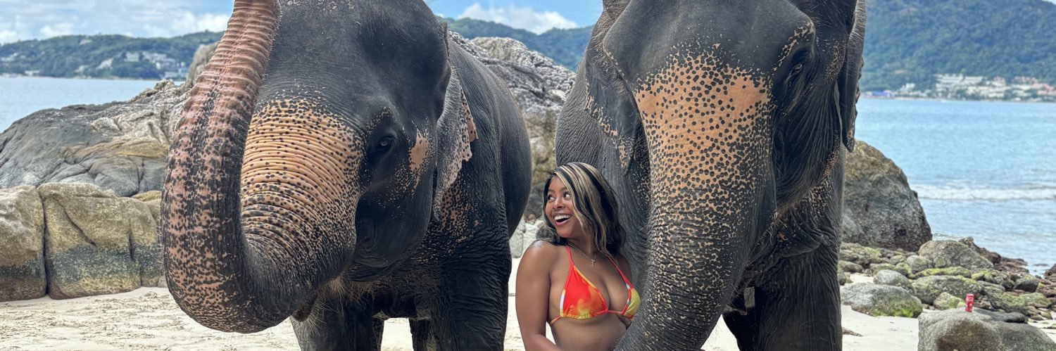 BrookElise_'s profile banner image