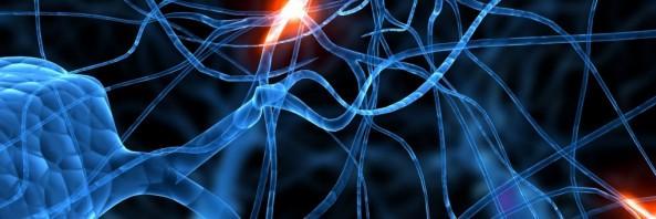 Rubén González Crespo banner