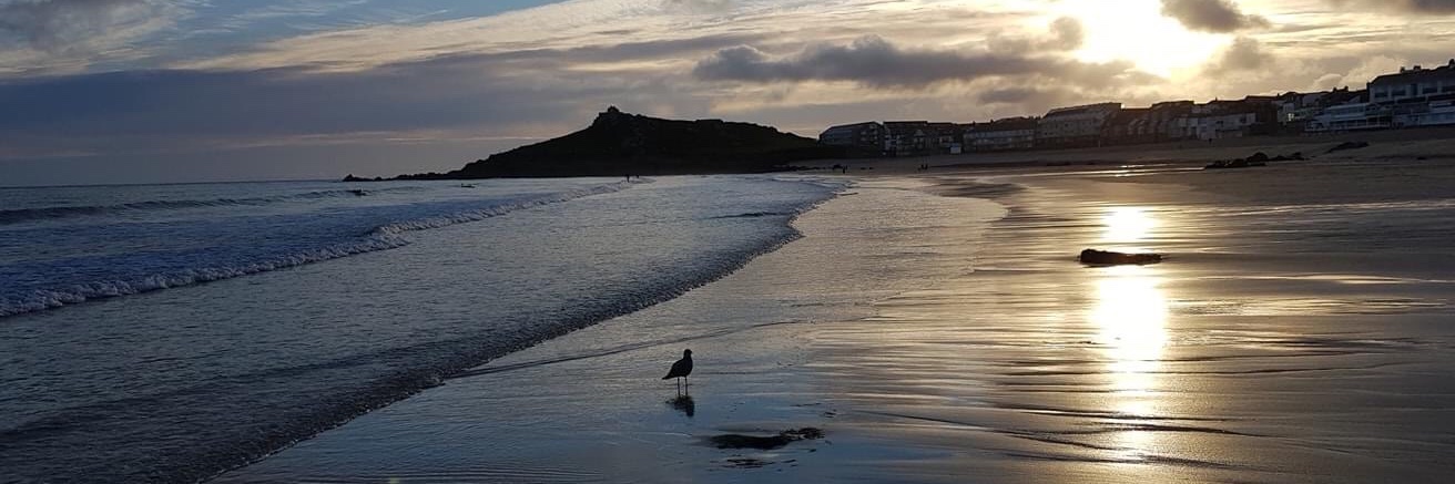 Jeremy Harris banner