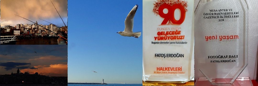 Fatoş Erdoğan's banner