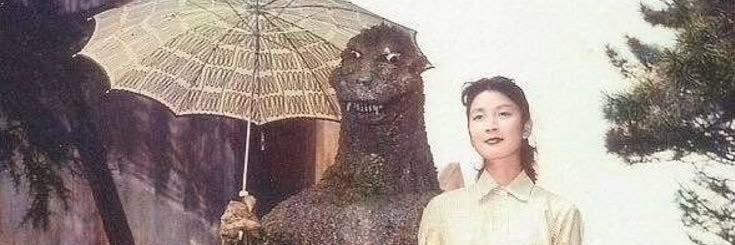 pfletcherj's profile banner image