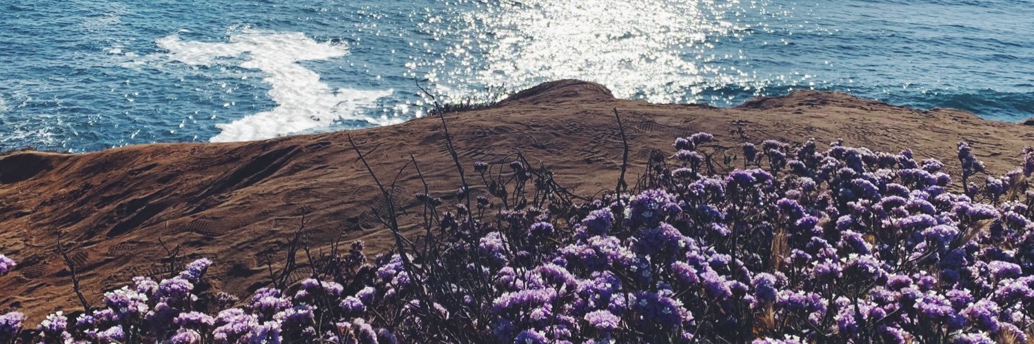 daniimannart's profile banner image