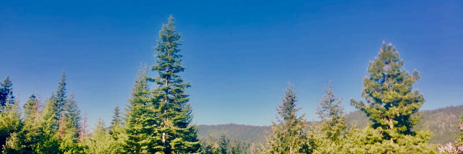 _MOUNTAINMAIDEN's profile banner image