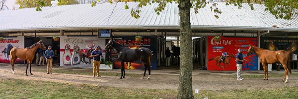 EliteRaceSales Profile Banner