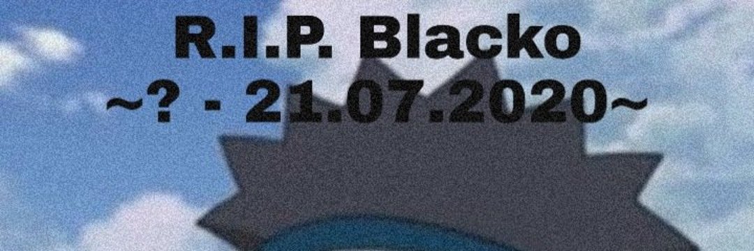 g u c c i R O S H I🔥 banner