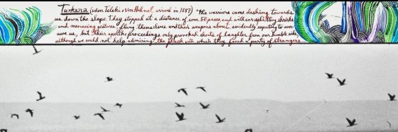 ElenaBonell's profile banner image