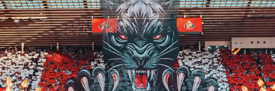 HUGGYSAFC's profile banner image