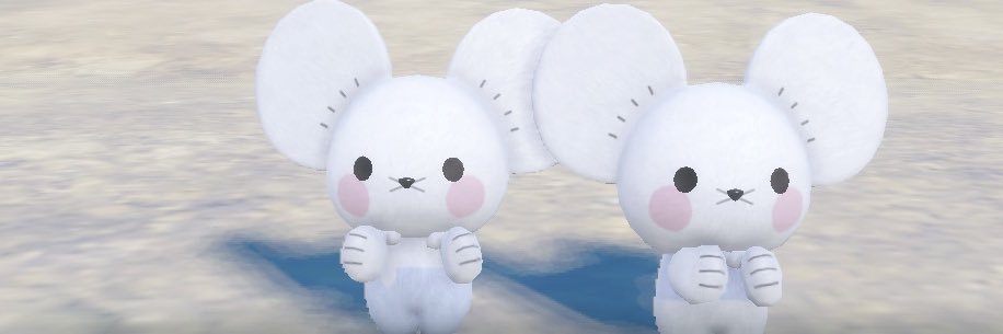 しー茶🌱⟆͟ ͠ ‧͟ ᐧ 𑁤 banner