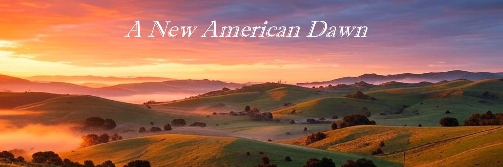 Ty Freeborn banner