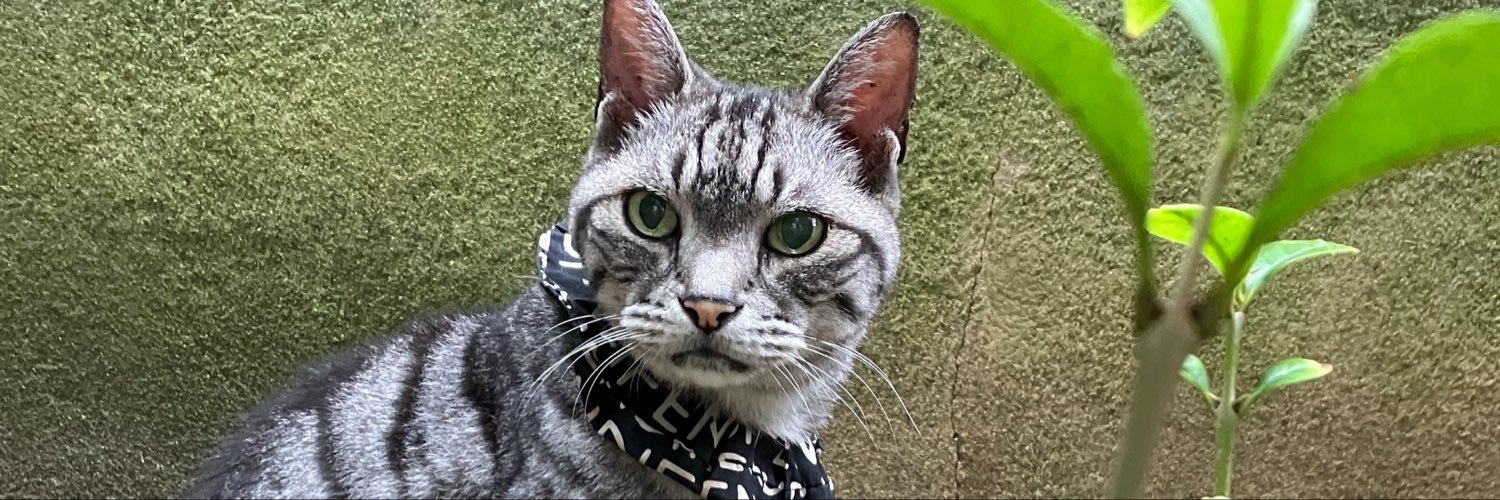 ses0ma's profile banner image