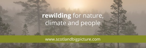 ScotlandTBP Profile Banner