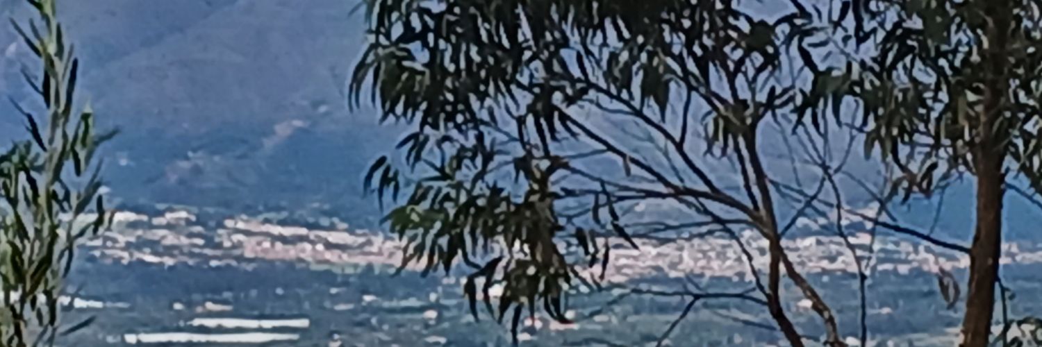 edwarpaez1's profile banner image