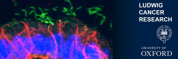 Boc_Lab Profile Banner