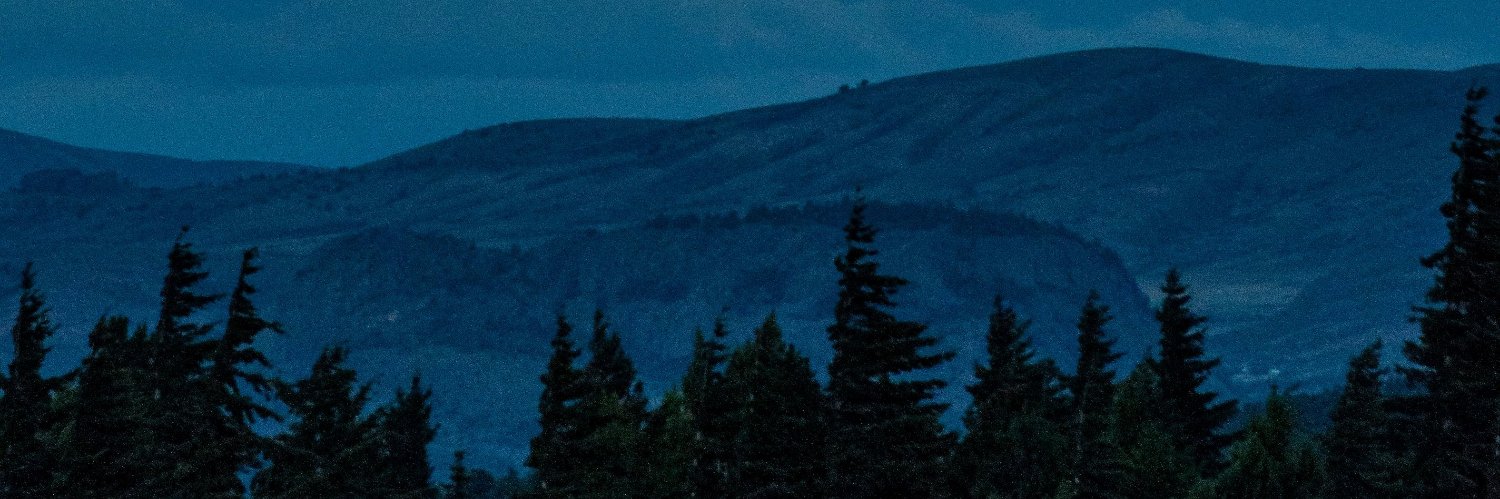 youbidiask's profile banner image