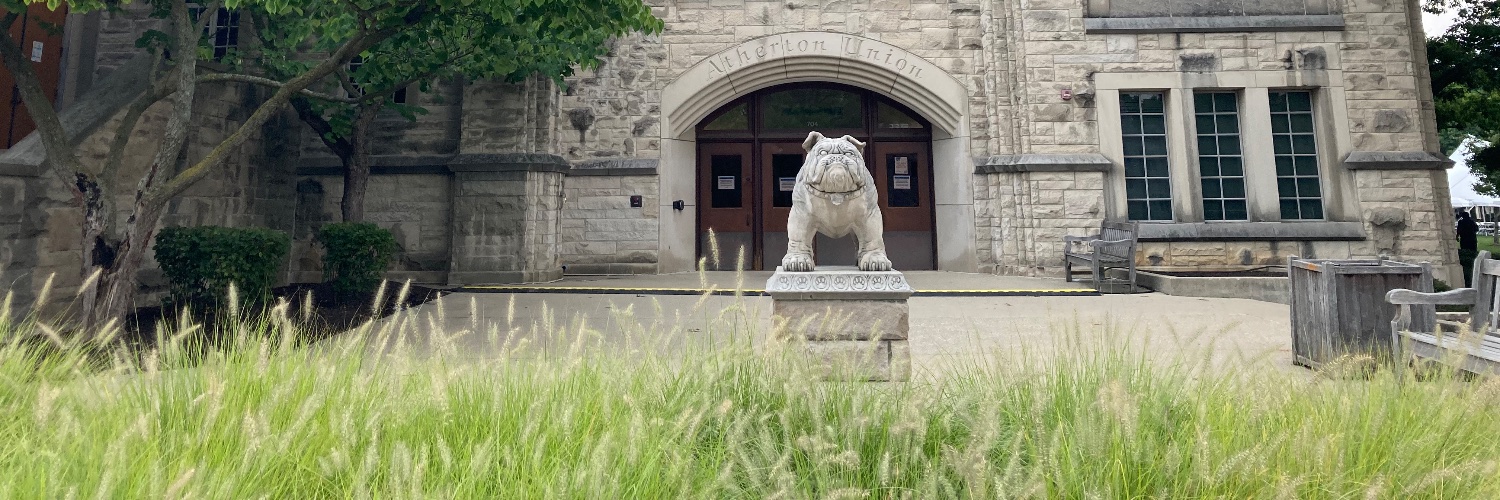 Karina A Hamamouche banner