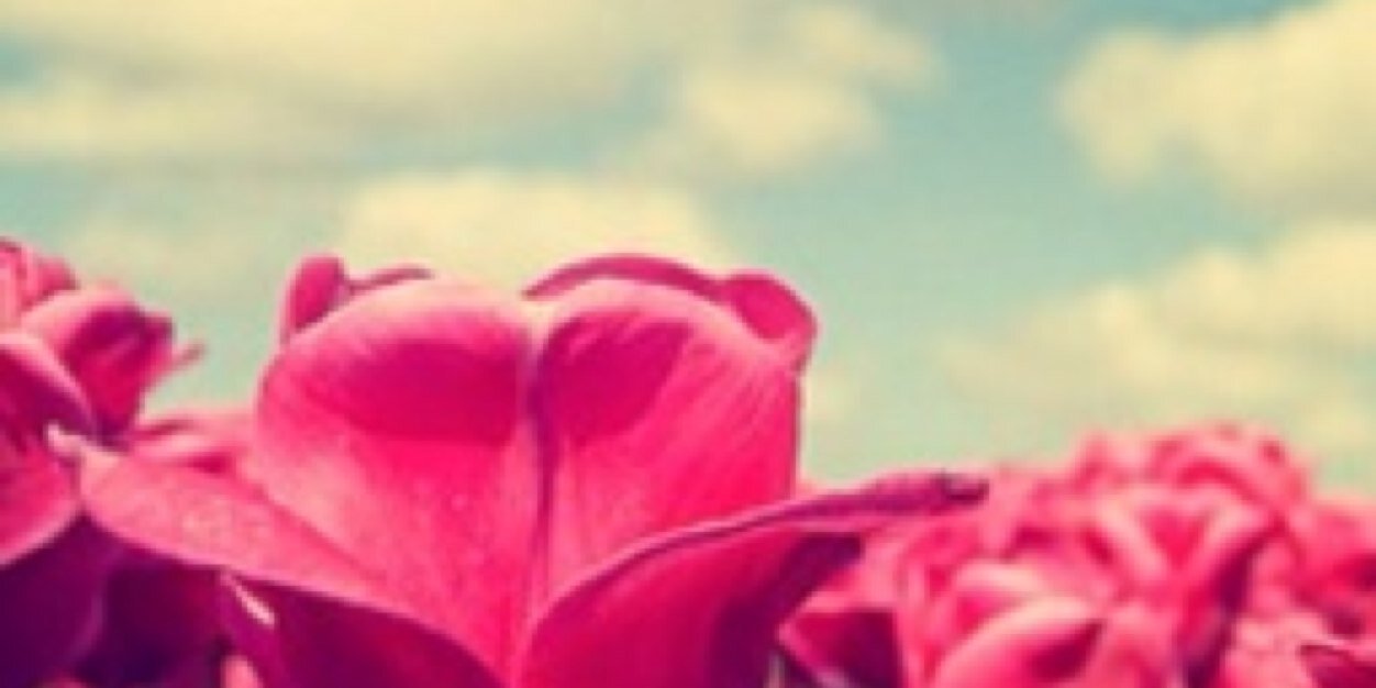 jlehman23's profile banner image