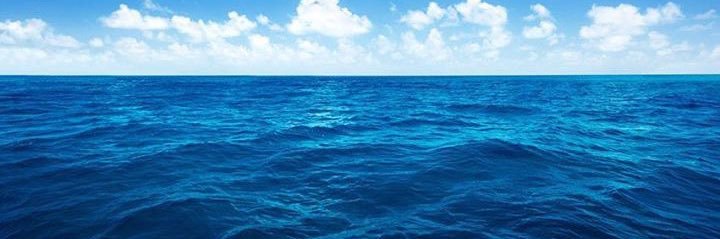 Daniel Denroe 🌻🐝🌎 banner