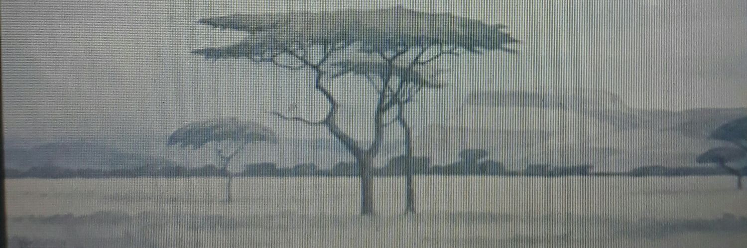 TeHelMetHulle banner