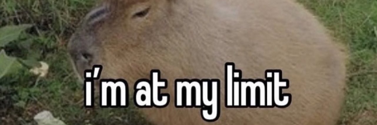 vilka_c's profile banner image