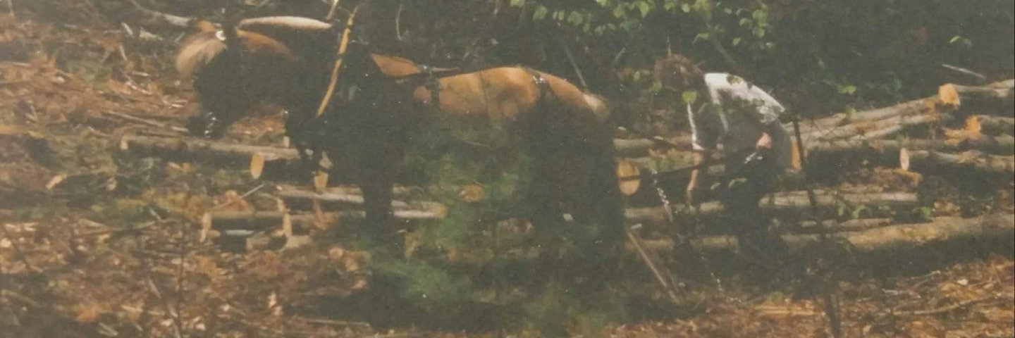 SusanGiargiari's profile banner image