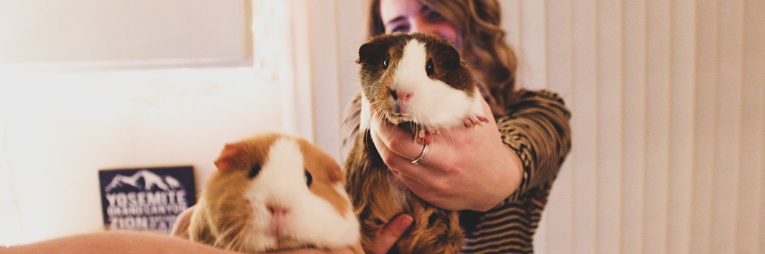 cassandralee_22's profile banner image