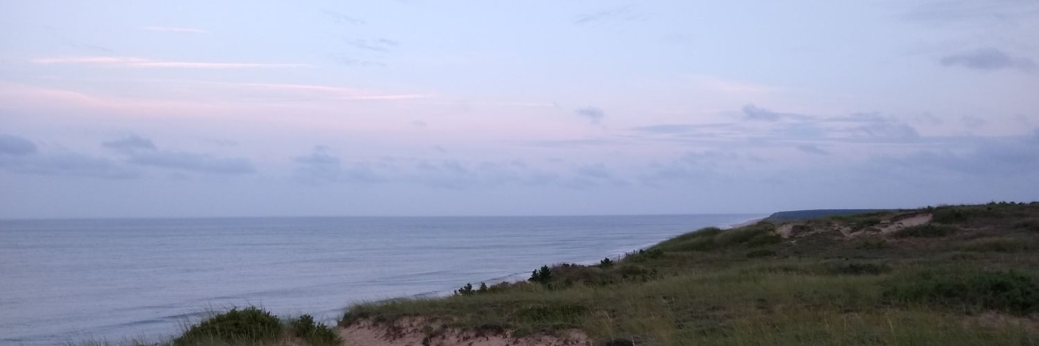 Susan Egerton (@susan_egerton) / Posts / X