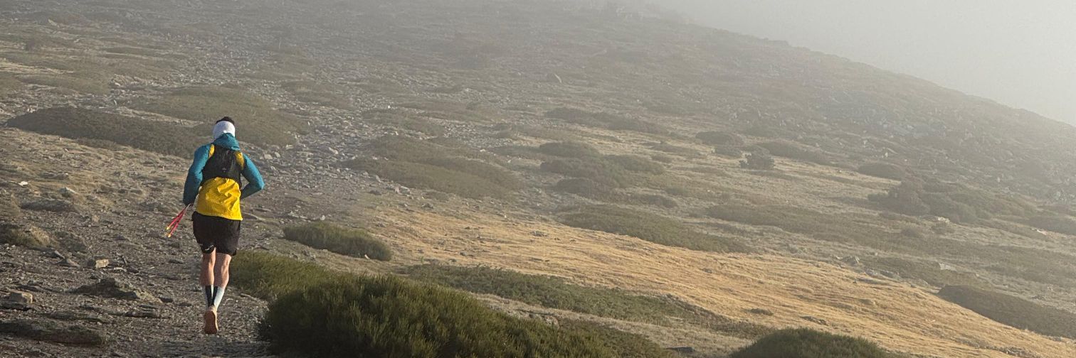 daniel banner