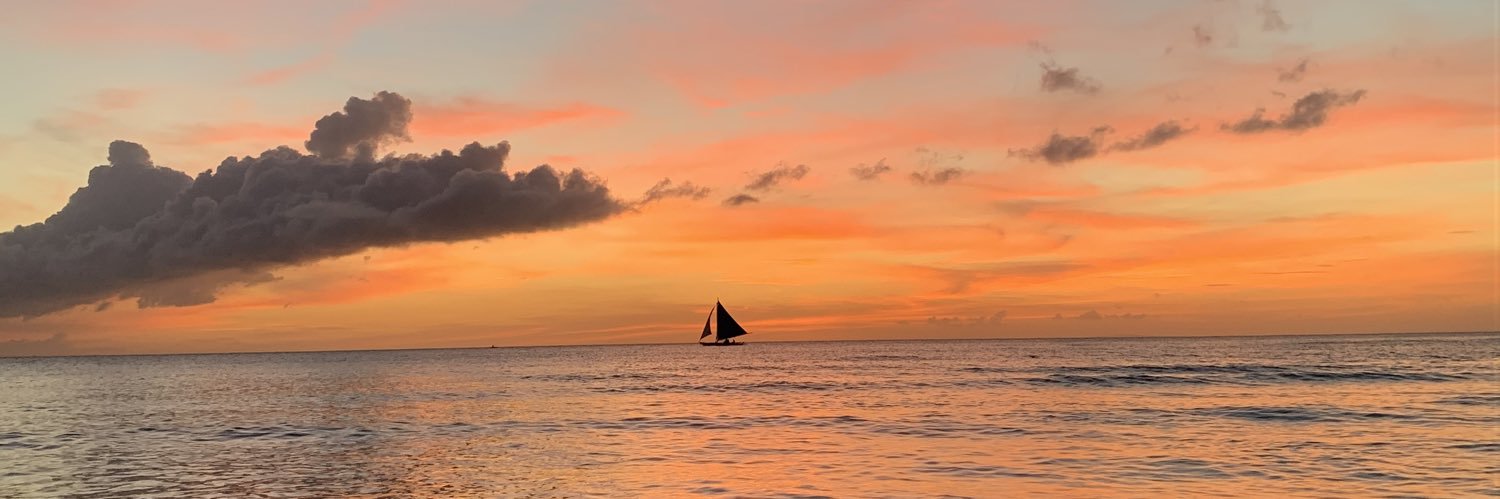lynllamoso's profile banner image