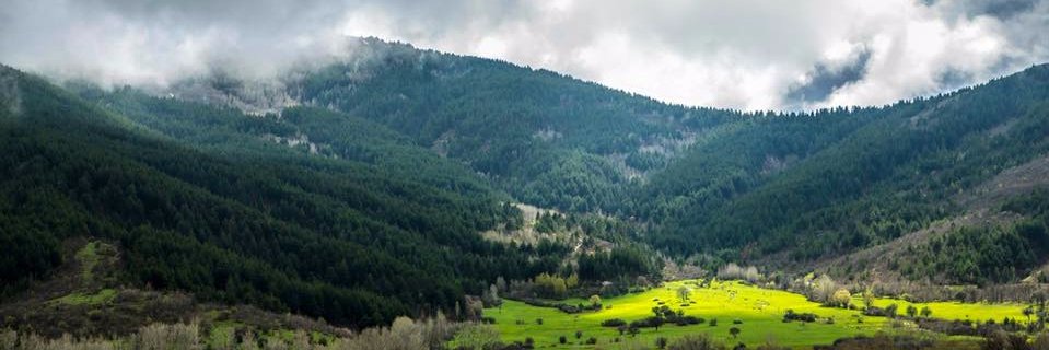 refahiye1's profile banner image