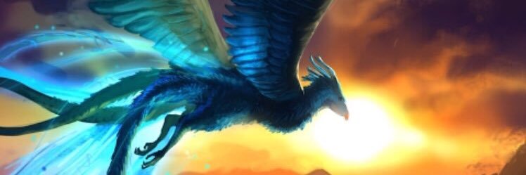 ShathaSalhe's profile banner image