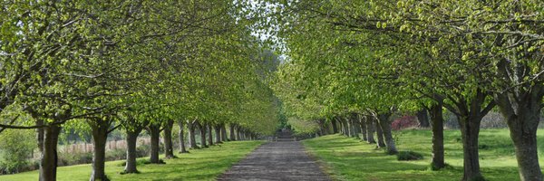 HouseArniston Profile Banner
