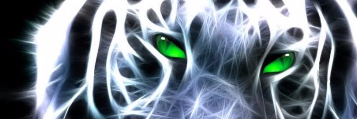 felipeac82's profile banner image