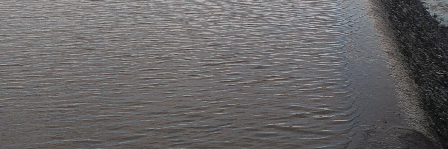 trymo2's profile banner image