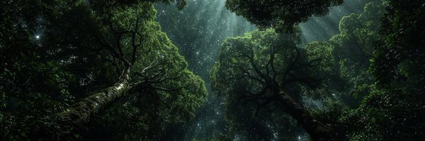 DavidWhiteJr18 Profile Banner