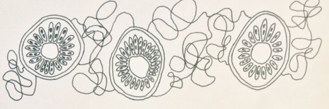 kiwiandwords's profile banner image