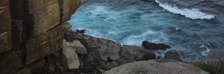 Alice R Fraser banner