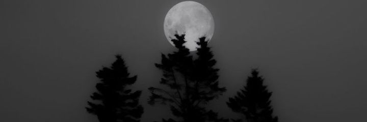 Patthhyy's profile banner image